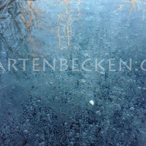 Winter 013